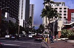 最近の一枚 'Waikiki Rainbow'