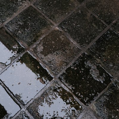 Puddles Mirror the Wet Sky