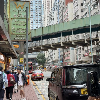Hong Kong Street Life Below the Overpass